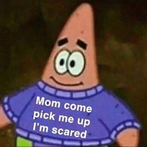 Meet your Posher, Noah